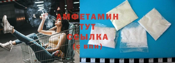 ГАЛЛЮЦИНОГЕННЫЕ ГРИБЫ Дмитриев
