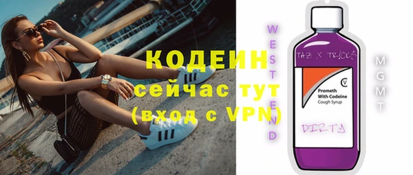 ГАЛЛЮЦИНОГЕННЫЕ ГРИБЫ Дмитриев