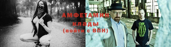 ГАЛЛЮЦИНОГЕННЫЕ ГРИБЫ Дмитриев