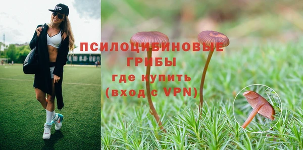кокаин Дмитров