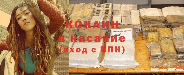 ГАЛЛЮЦИНОГЕННЫЕ ГРИБЫ Дмитриев