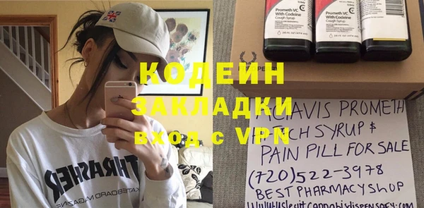 ГАЛЛЮЦИНОГЕННЫЕ ГРИБЫ Дмитриев