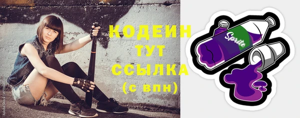 ГАЛЛЮЦИНОГЕННЫЕ ГРИБЫ Дмитриев