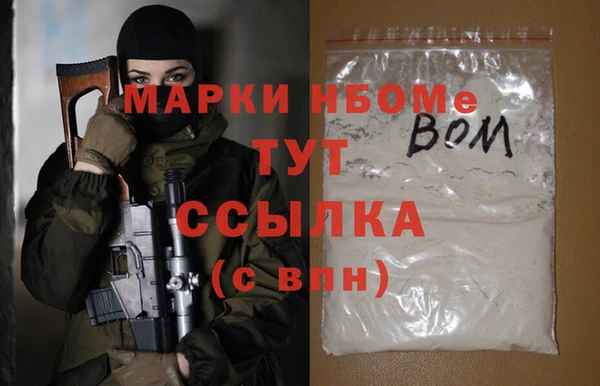 ГАЛЛЮЦИНОГЕННЫЕ ГРИБЫ Дмитриев