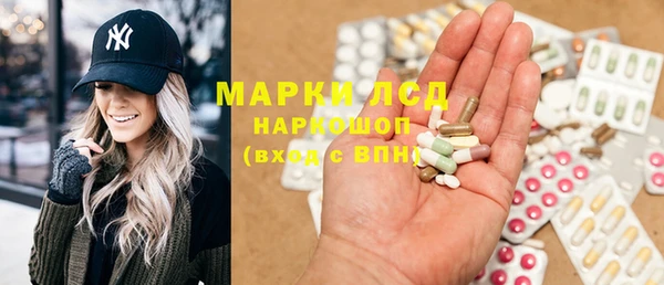 ГАЛЛЮЦИНОГЕННЫЕ ГРИБЫ Дмитриев