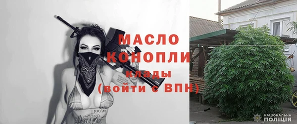 ГАЛЛЮЦИНОГЕННЫЕ ГРИБЫ Дмитриев